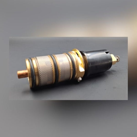Jacuzzi Thermostatic Cartridge Twin Unit